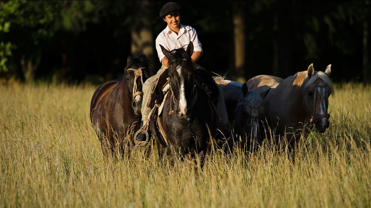 Estancia La Bandada 산미겔 델 몬테 외부 사진